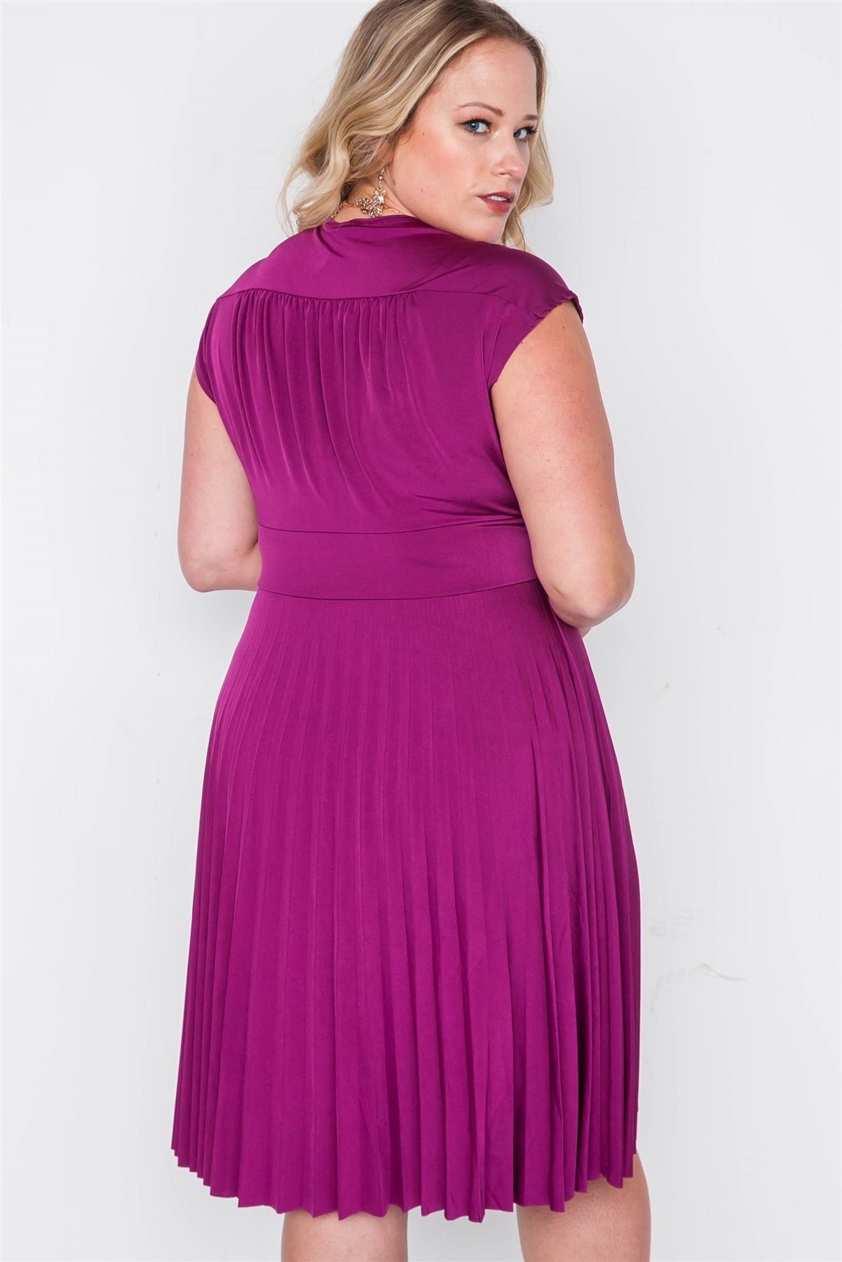 Plus Size Pleat Accordion Fit & Flair Dress