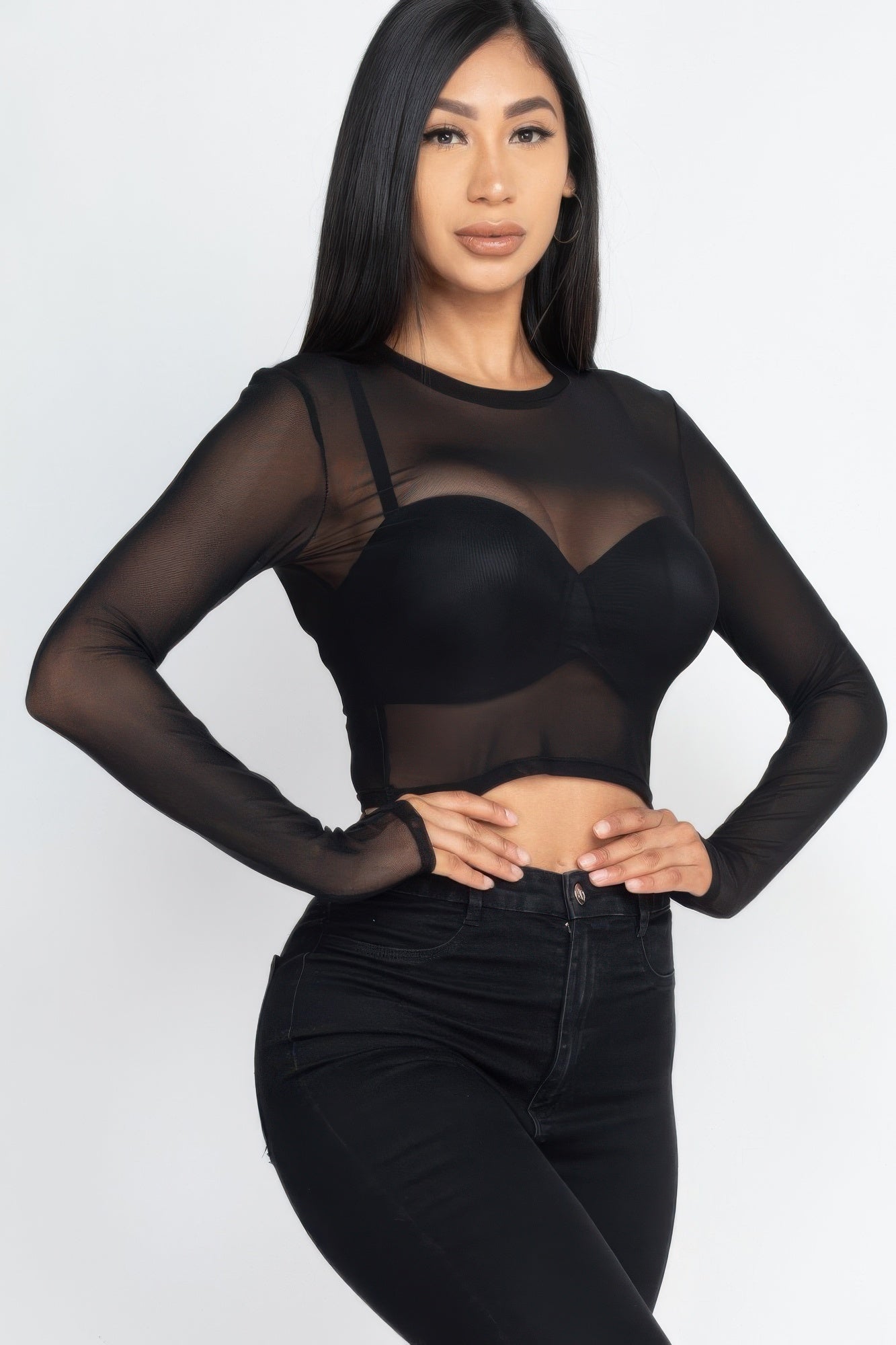 Sexy Sheer Mesh Long Sleeve Crop Top