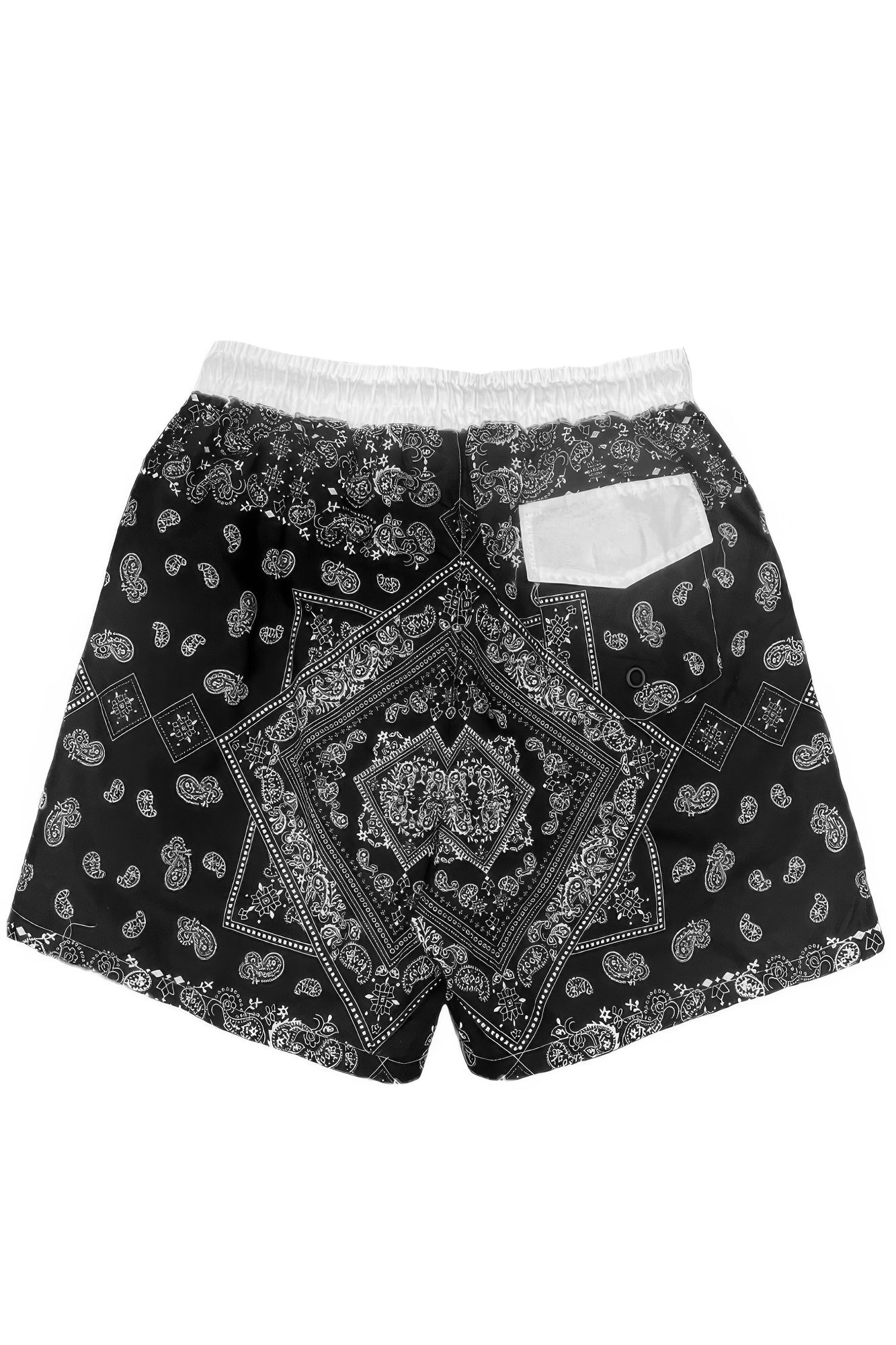 Paisley Bandana Print Swimming Shorts