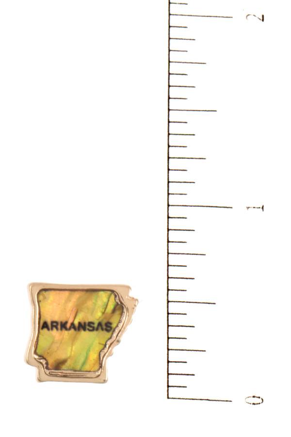 Ladies arkansas state post earring