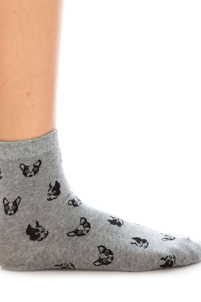 Ladies cotton socks boston terrier design