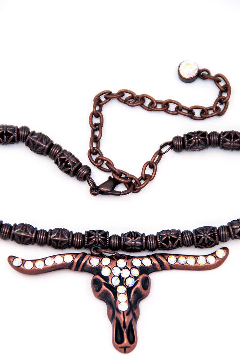 Long horn boot chain