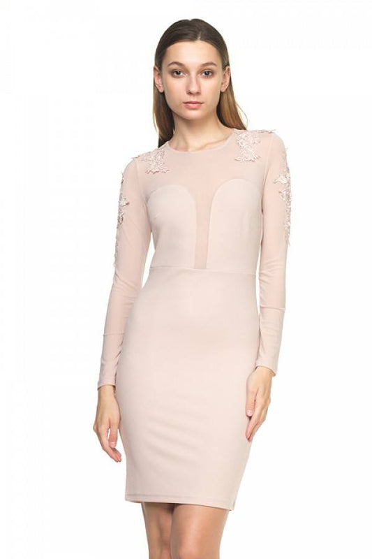 Long Sleeve Floral Mesh Dress