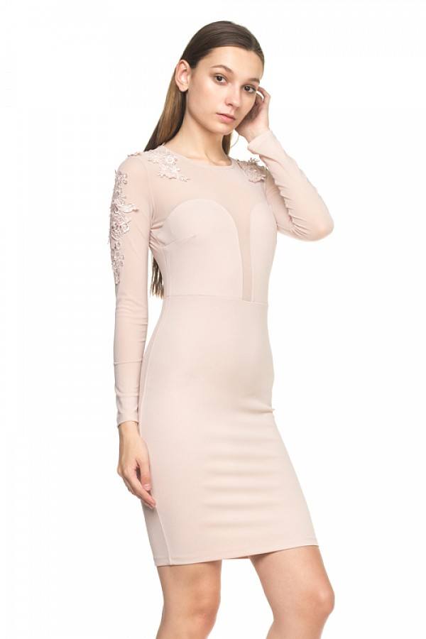 Long Sleeve Floral Mesh Dress