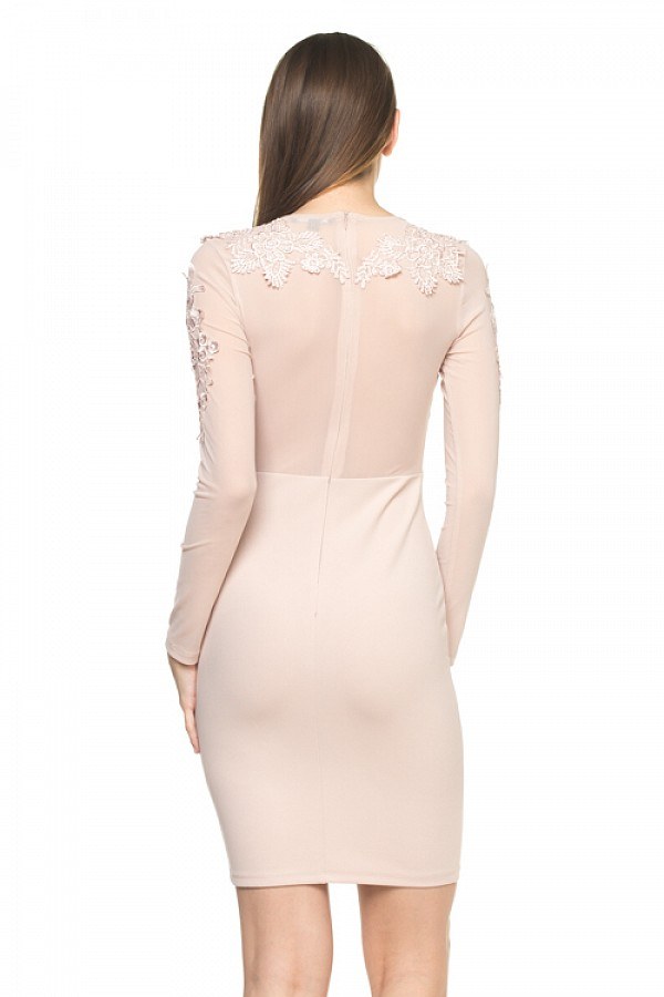 Long Sleeve Floral Mesh Dress