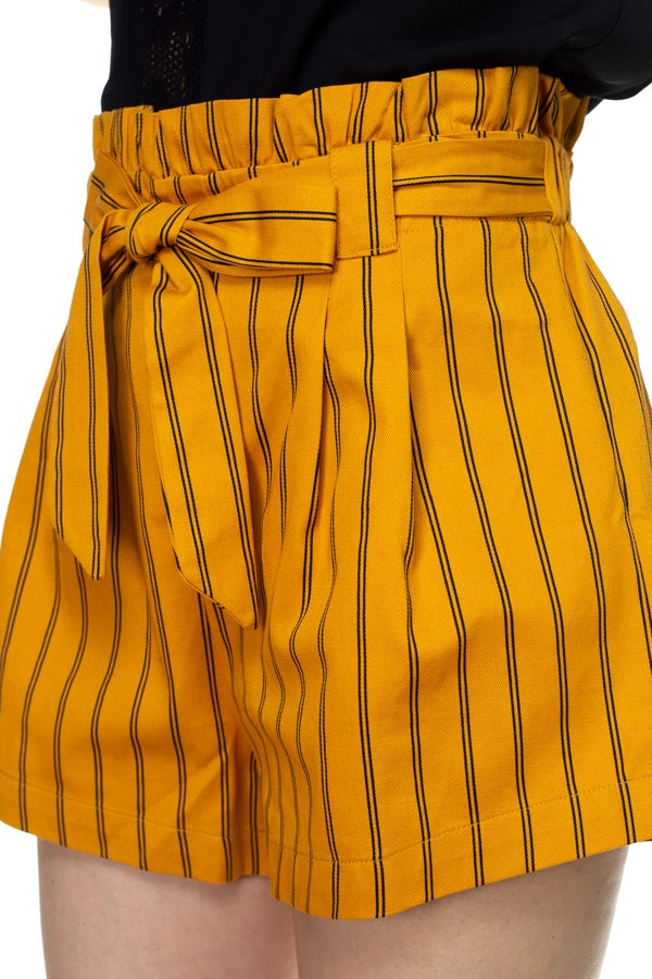 Pin Stripe Belted Mini Shorts