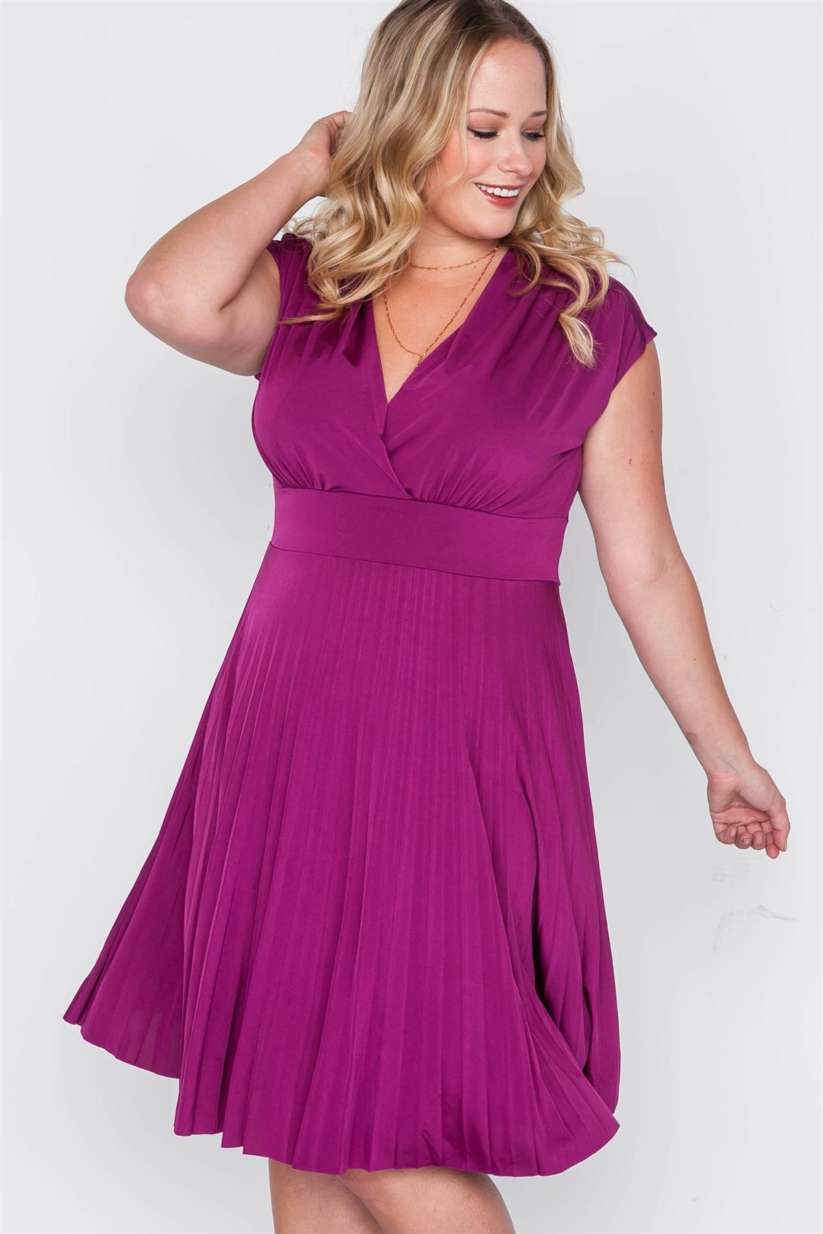 Plus Size  Pleat Accordion Fit & Flair Dress