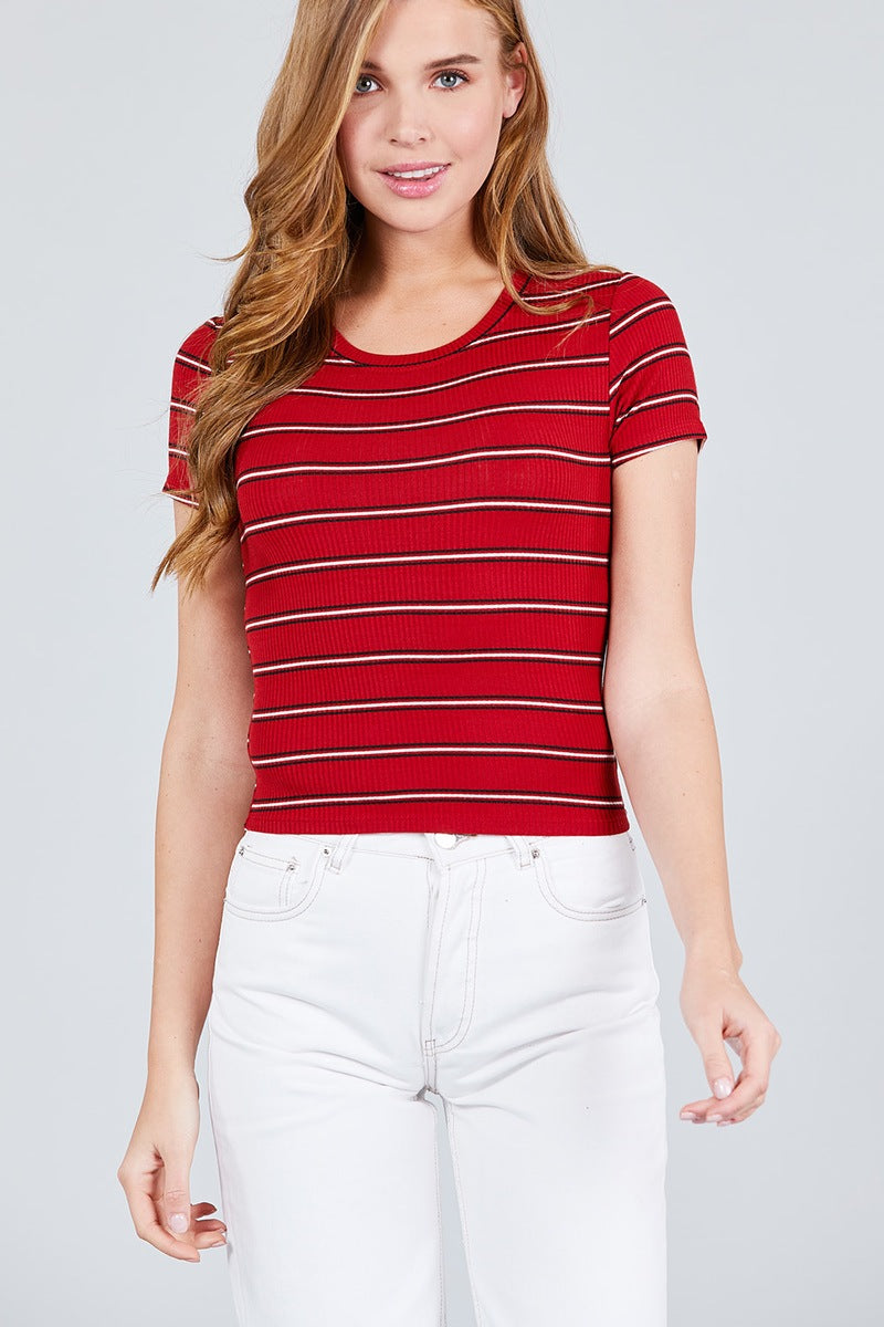 Short Sleeve Round Neck Multi Stripe Rib Knit Top