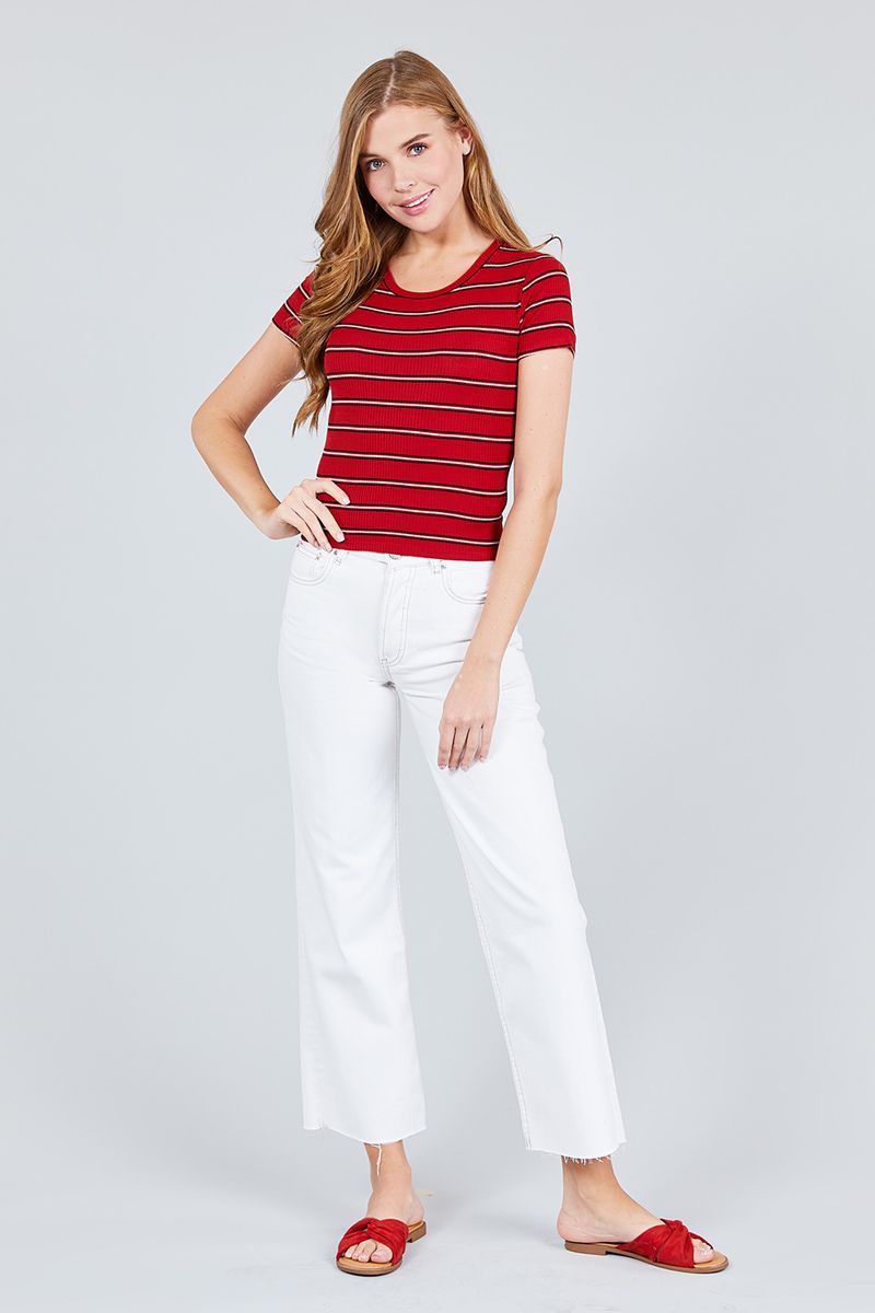 Short Sleeve Round Neck Multi Stripe Rib Knit Top