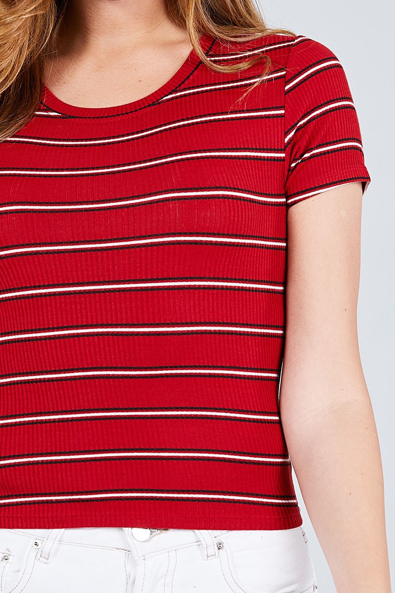 Short Sleeve Round Neck Multi Stripe Rib Knit Top