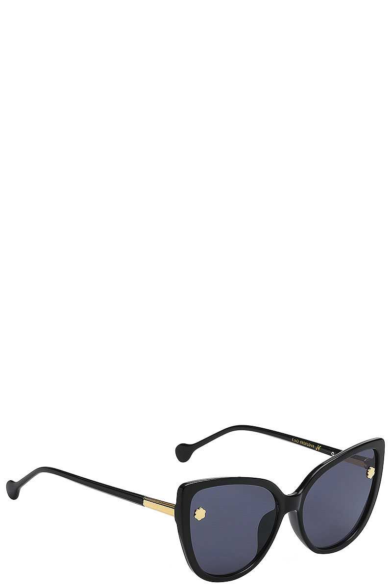 Hipster Cute Polymer Sunglasses